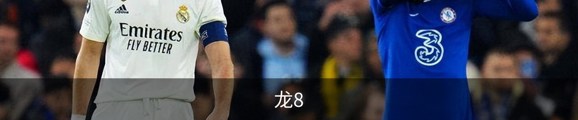 龙8
